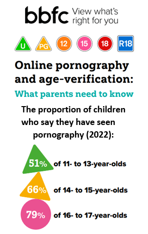 Download Phonography Sex - PSHE & RSE : Gloucestershire Healthy Living and Learning